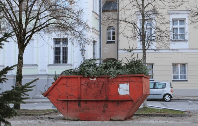 choinki w śmietniku